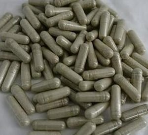 PSILOCYBIN MUSHROOM CAPSULES