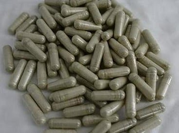 PSILOCYBIN MUSHROOM CAPSULES